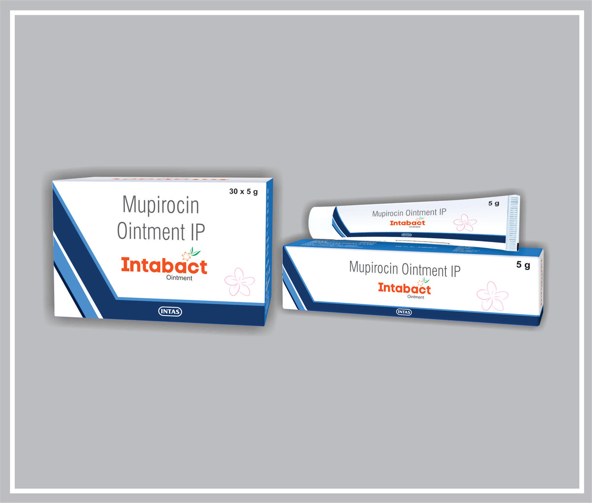 Intabact Ointment 5 Gm (Mupirocin 2% W/W) By Intas