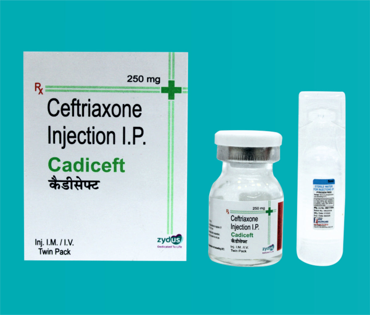 Cadiceft 250 Inj. (Vial)Ceftriaxone 250 Mg by Zydus