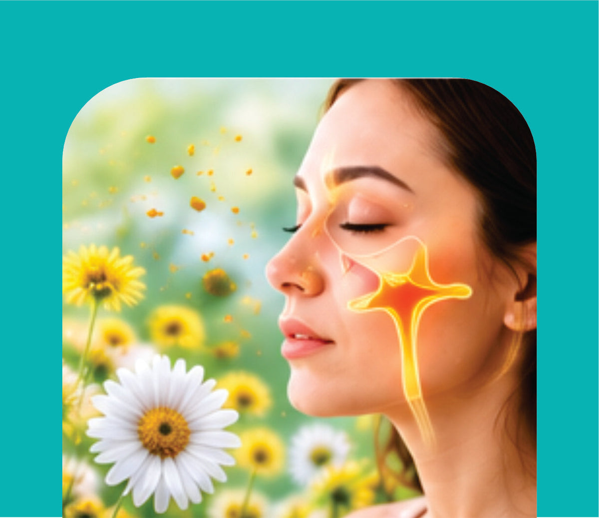 ALLERGY & SINUS CARE