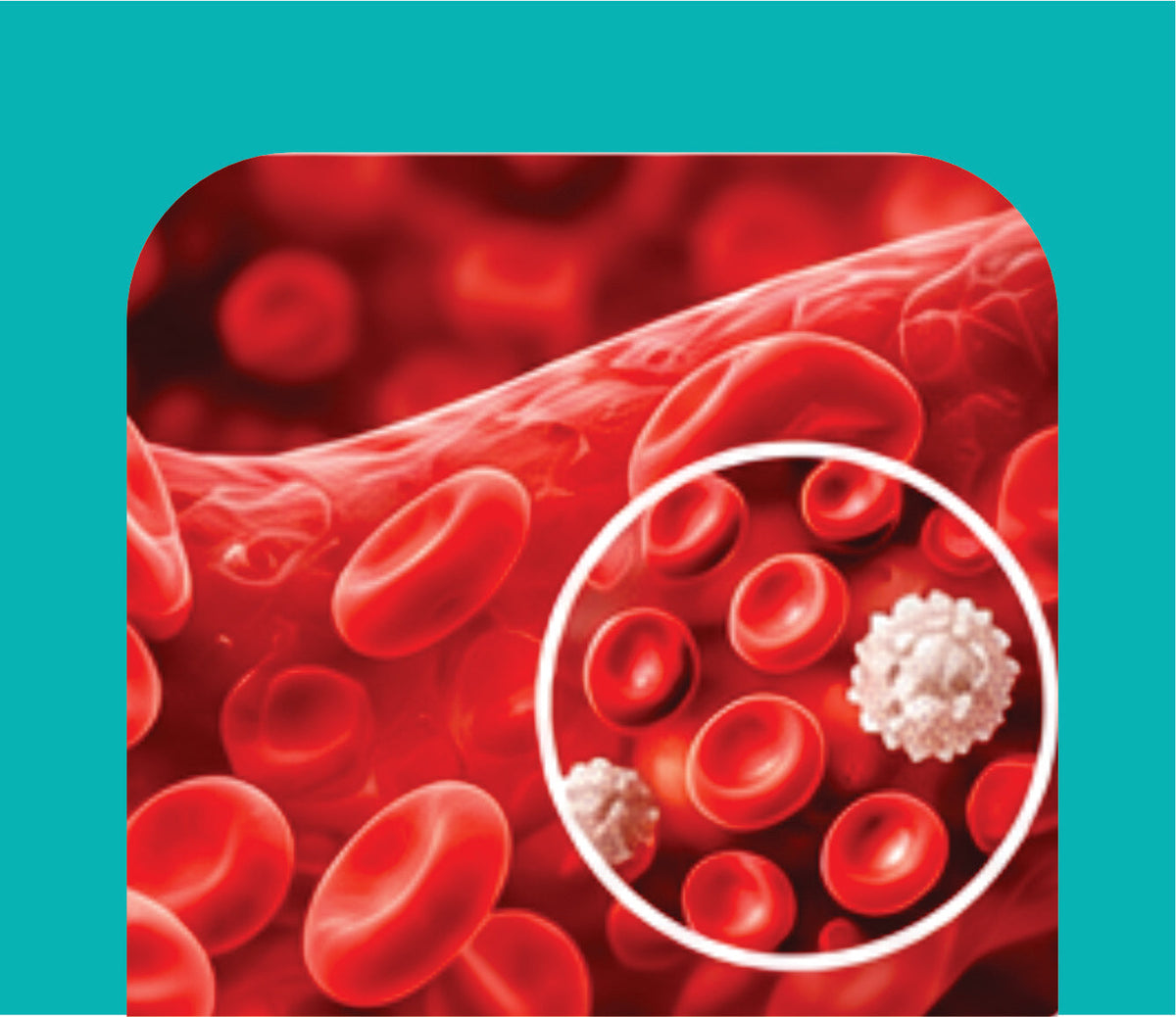 ANEMIA & BLOOD DISORDER CARE