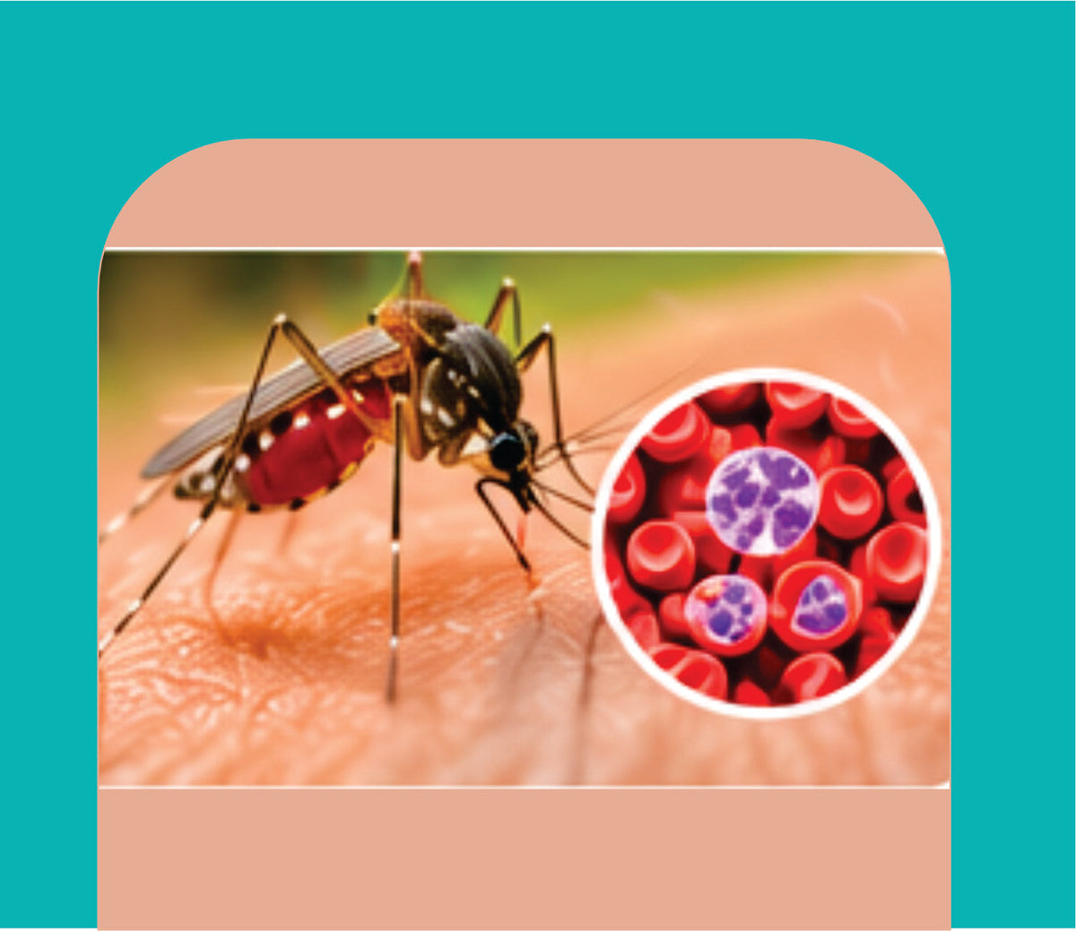 ANTI-MALARIAL