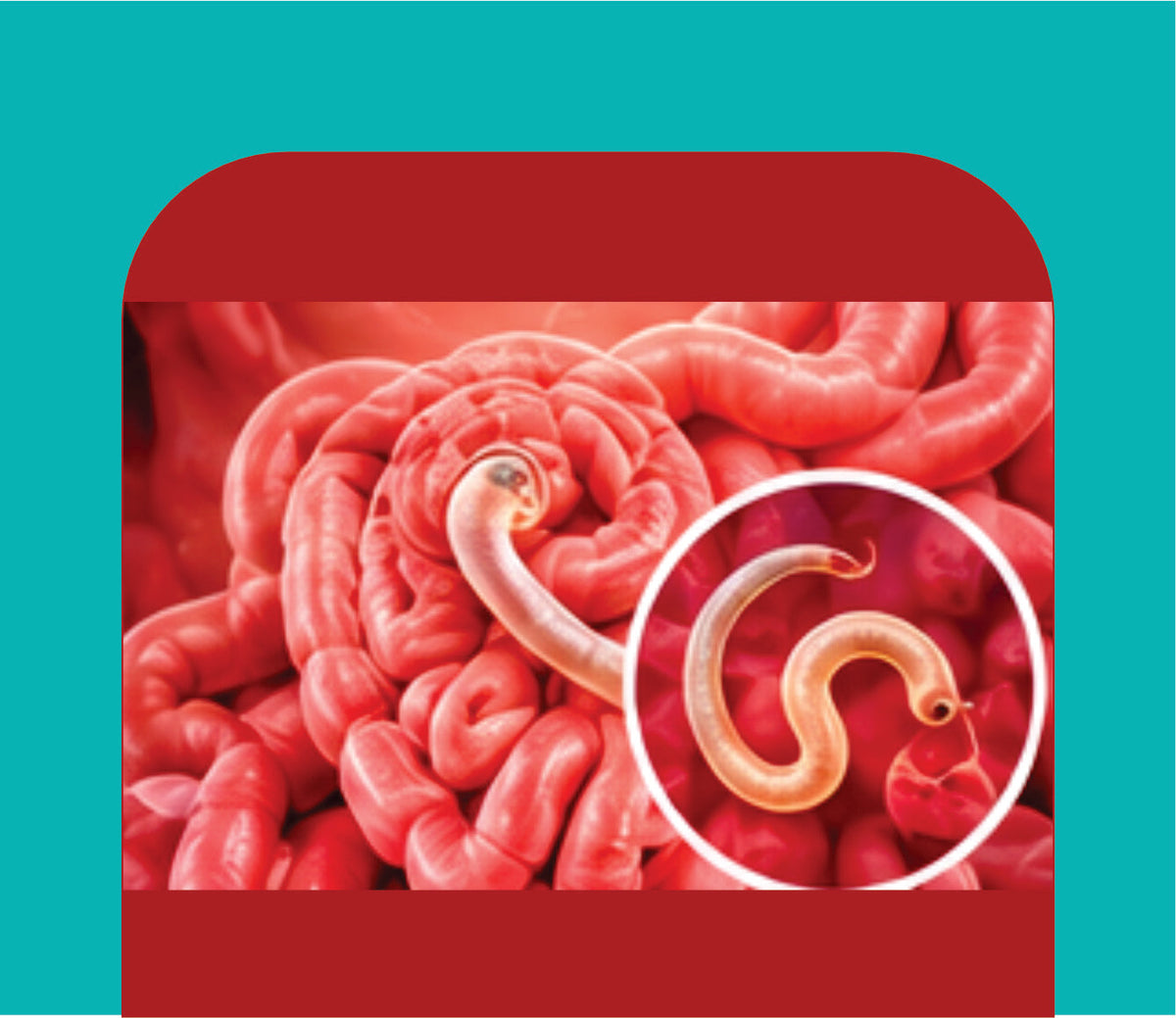 ANTI-PARASITIC