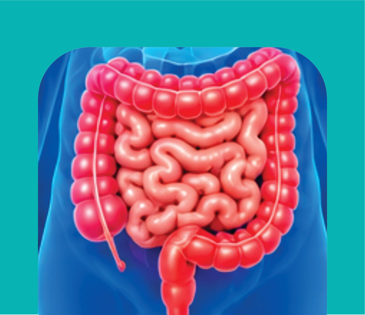 GASTRO & DIGESTIVE CARE