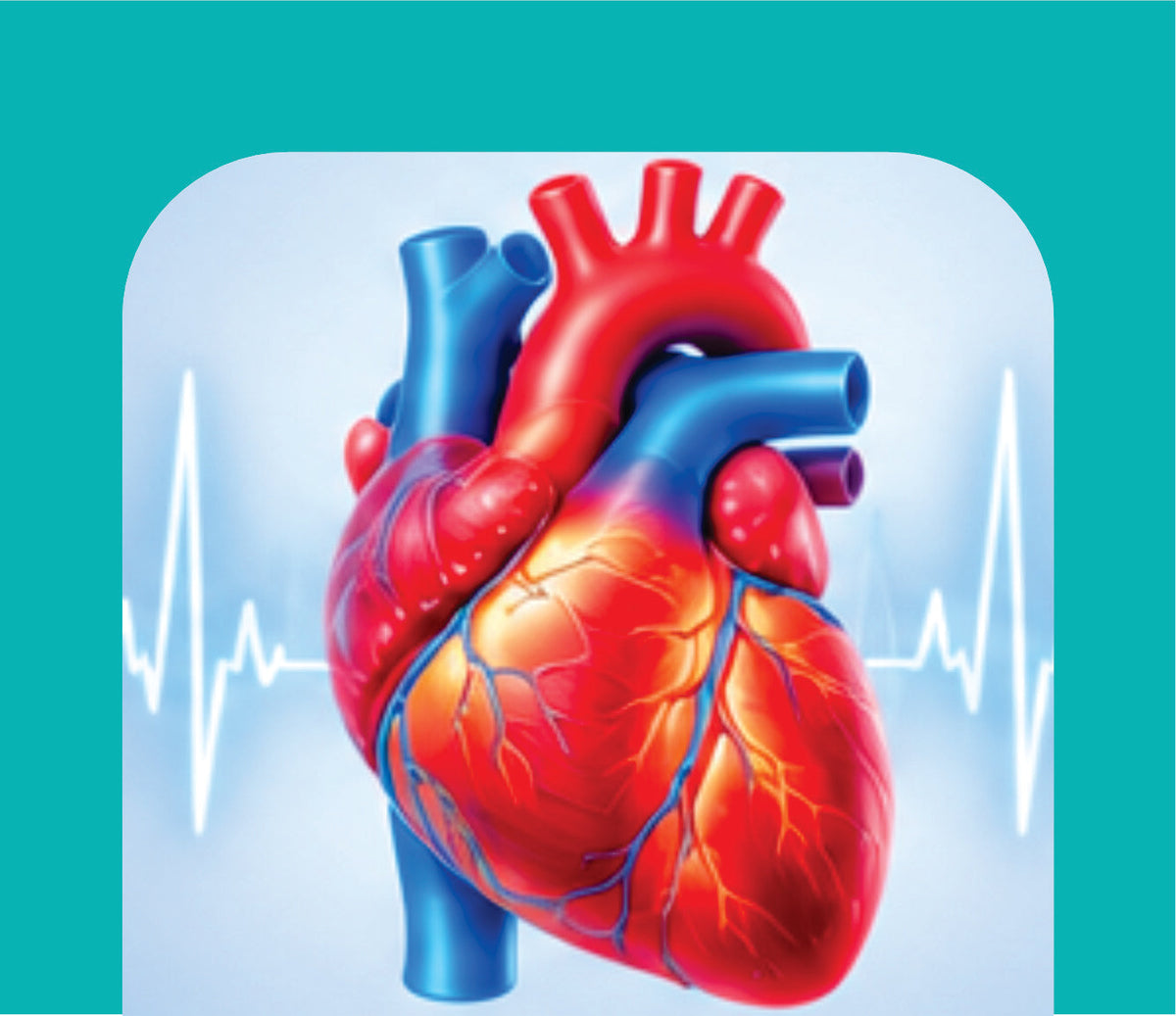 HEART & CARDIAC CARE