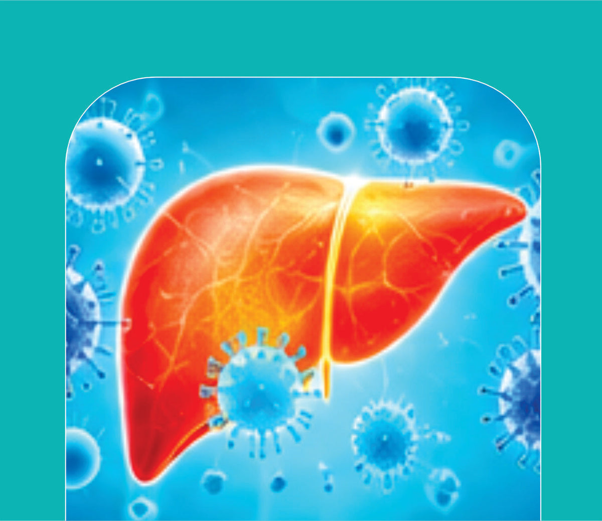 HEPATITIS CARE