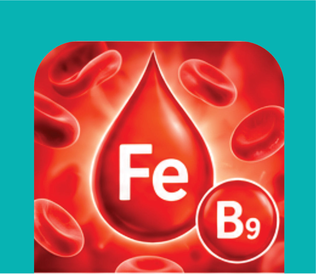 IRON & FOLIC ACID