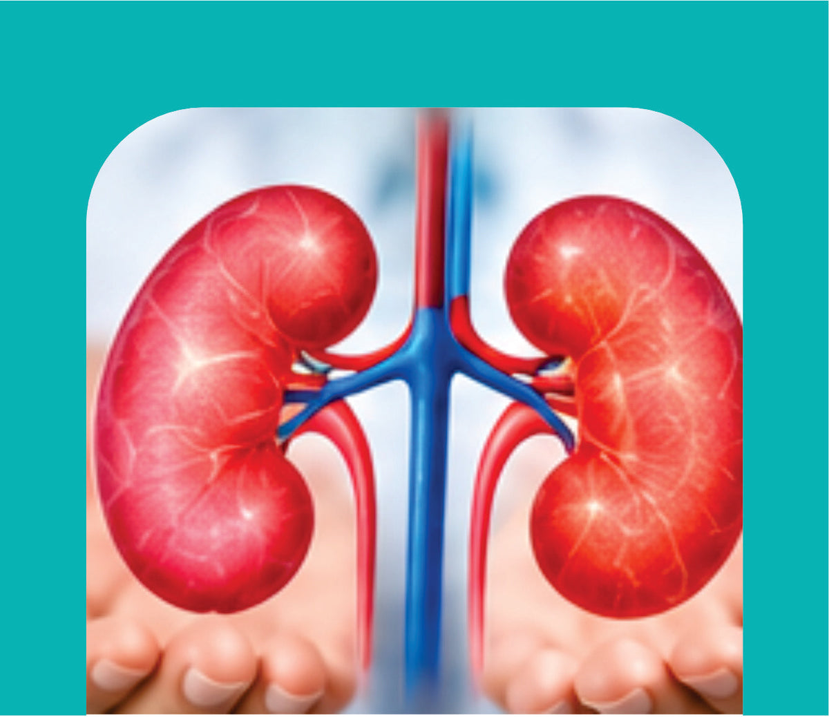 KIDNEY CARE