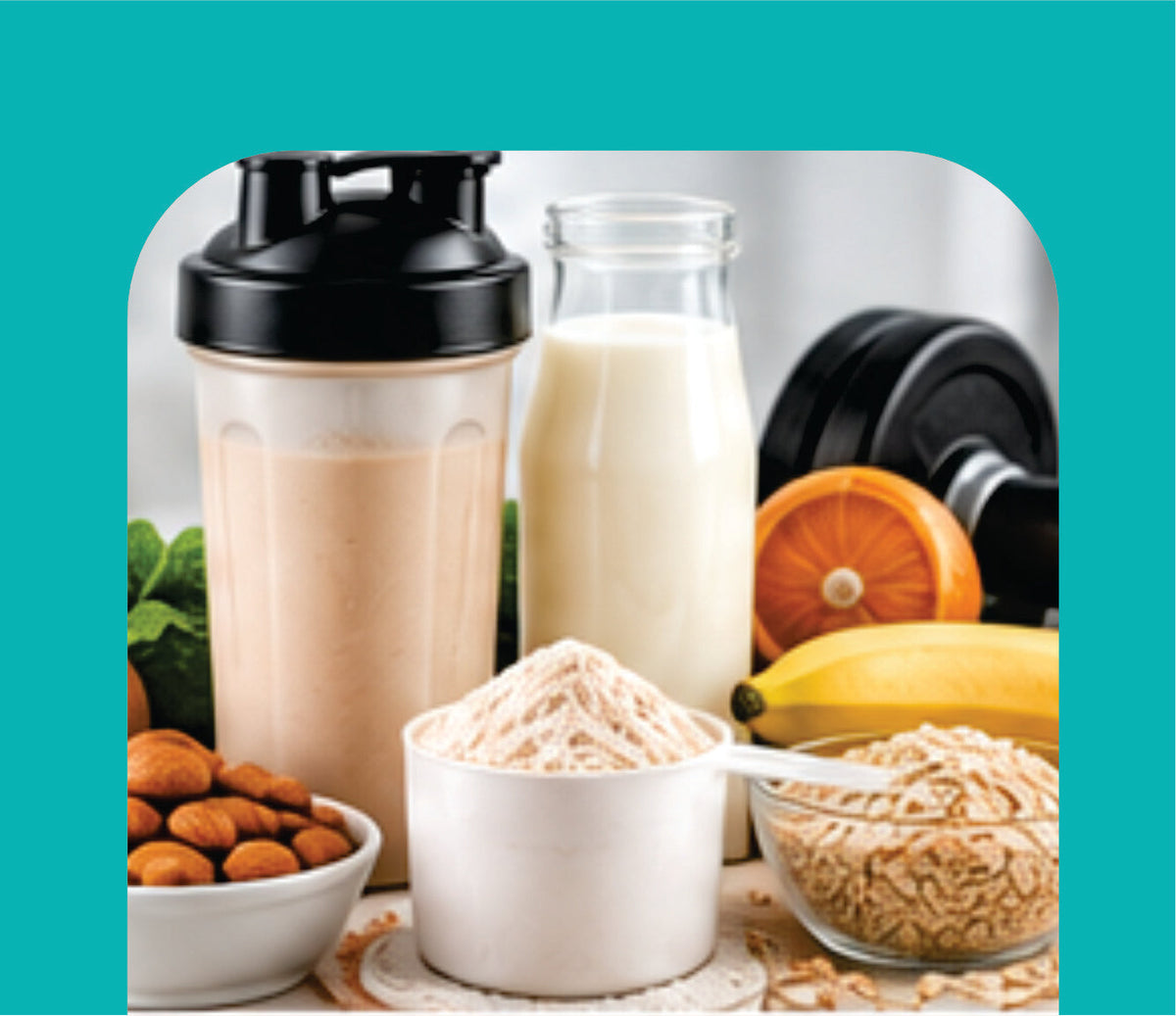 PROTEIN & NUTRITION