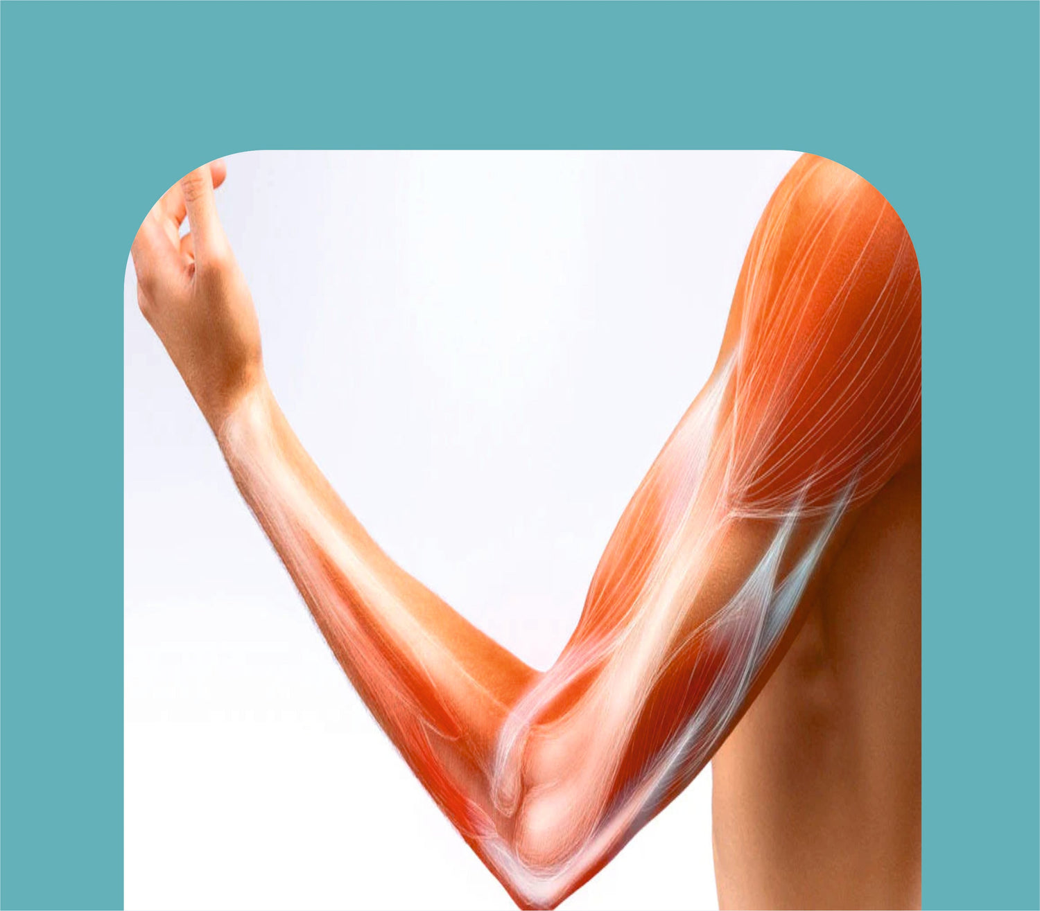 MUSCULAR & JOINT PAIN