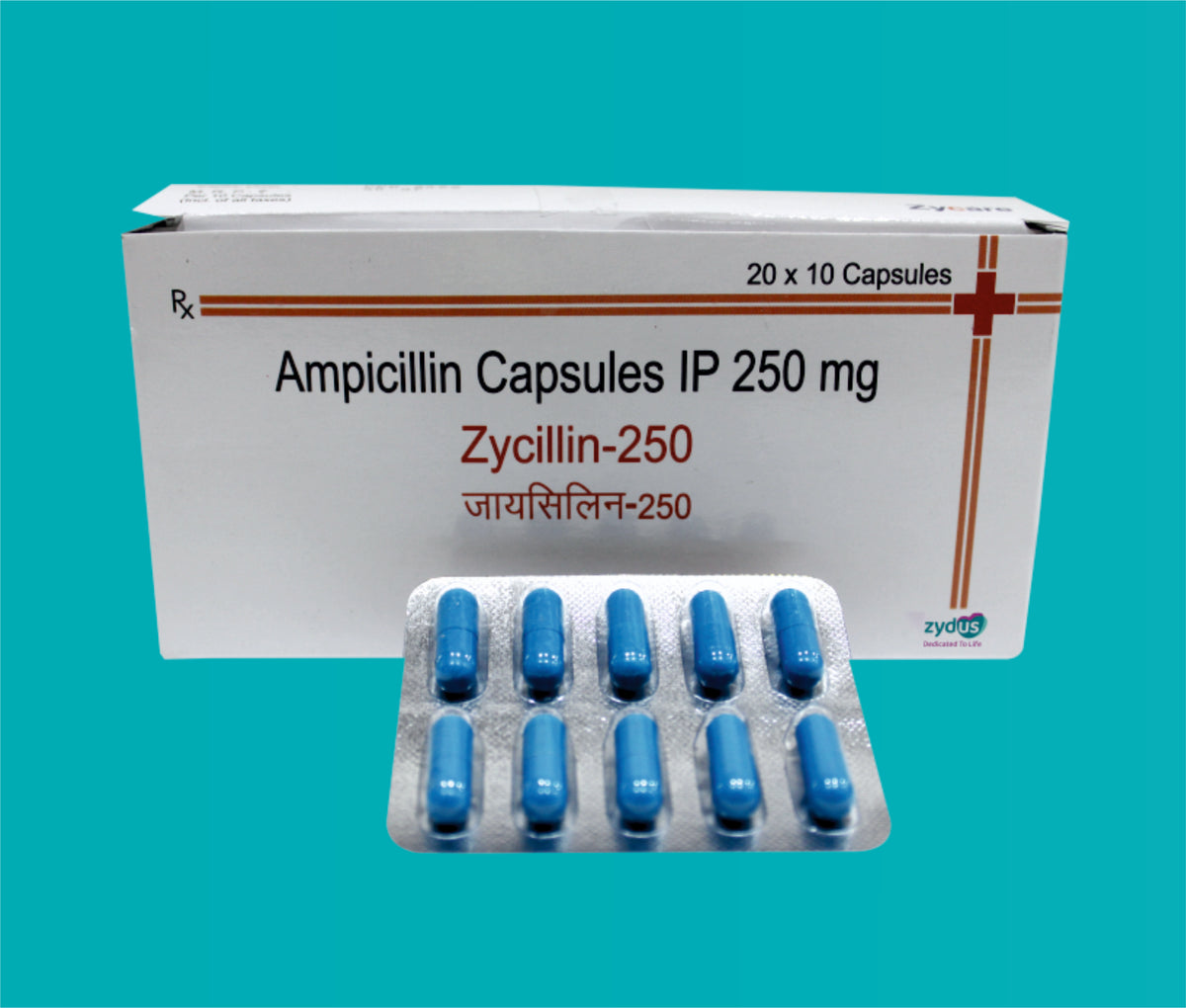 Zycillin 250 Cap. (20X10)Ampicillin 250 Mg by Zydus