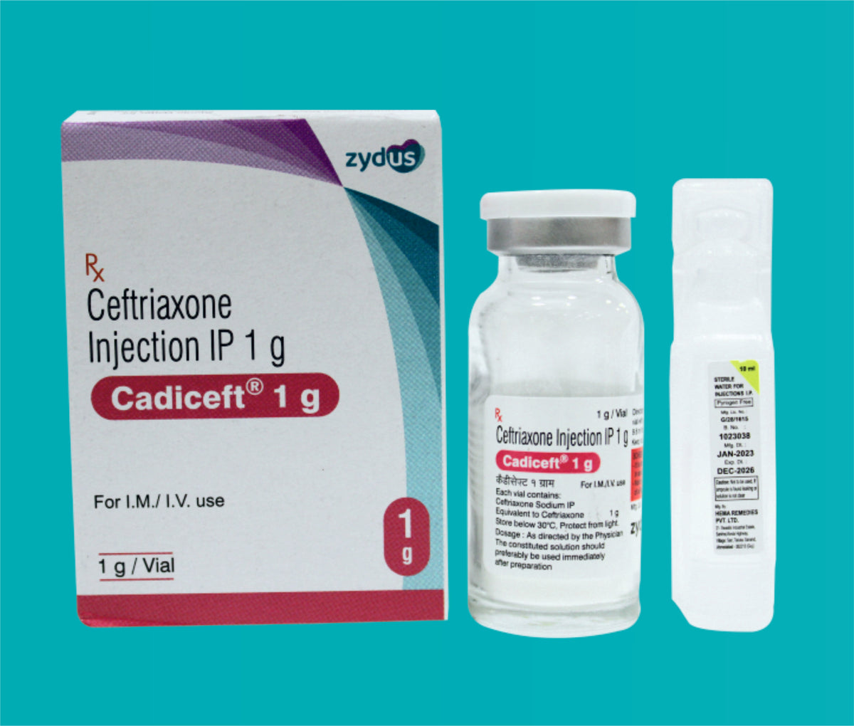 CADICEFT 1G
 INJECTION 1X1VIAL SL DOM (1X1VIAL)Ceftriaxone 1000 Mg by Zydus